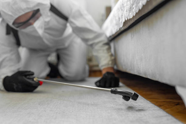 Professional Bed Bug Control technician working in Rice, TX